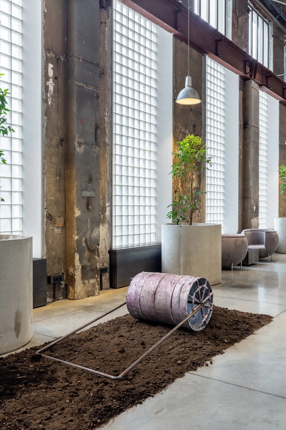 выставки спб 2025 фото